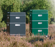 Segeberger beuten stehen in Heidelandschaft