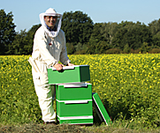Spessartbeute mit Imker in der Natur