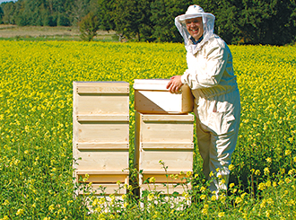 Zwei Heroldbeuten stehen auf einer Wiese, ein imker trägt eine Zarge
