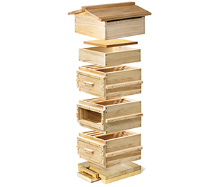 Warré Beute frontal in aufgefächerter Schrägansicht