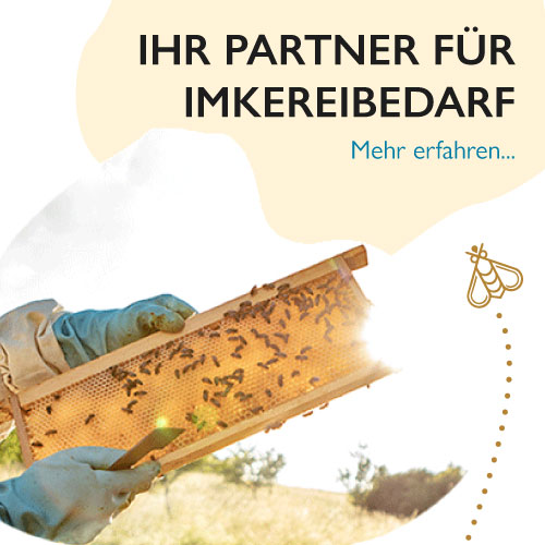 Erster Slide, Imker hält Wabe in die Sonne