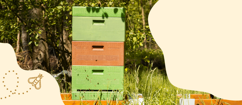 Erster Slide, EPP-Beute mit einzelnen Styropor-Teilen steht in belebter Natur