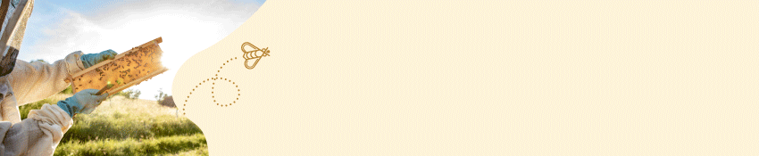 Links ist ein klecksförmiger Bildausschnitt mit einem Imker, der eine Wabe in die Sonne hält zu sehen. Daneben fliegt eine Biene mit gepunkteter Linie in das Banner, das einen hellbeigen/gelben Hintergrund hat