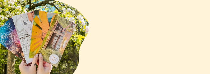 Zwei gelbe DHL-Container vor Klecksform, Biene fliegt über Banner