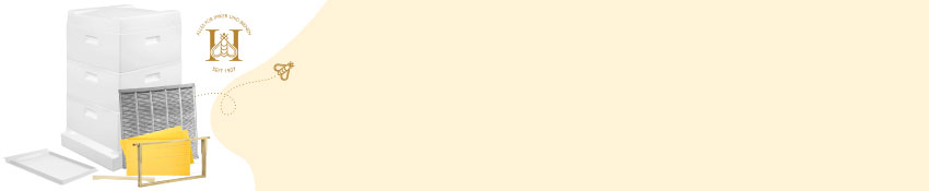 Ein Beuten-Starterset vor weißem Hintergrund, daneben gelber Hintergrund, Biene fliegt über Banner