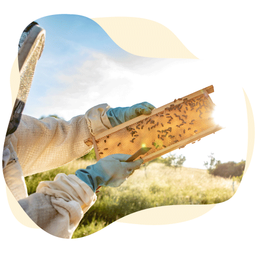 Hellgelber Klecks mit klecksförmigen Bild davor. Im Klecks ist ein Imker zu sehen, der eine Wabe mit Bienen in die Sonne hält