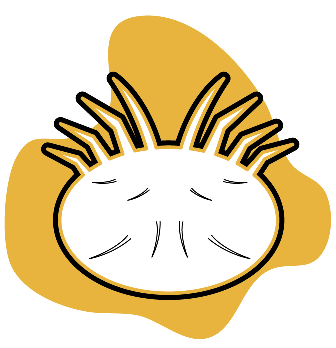 Varroa und Reinigung
