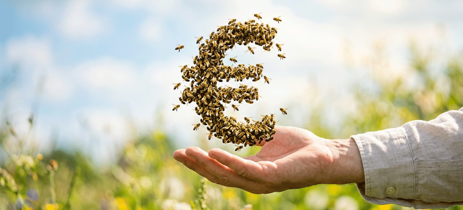 Hand hält Euro-Zeichen aus Bienen