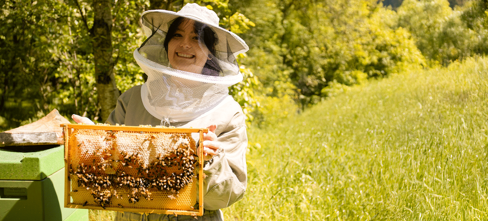 Lachende Imkerin hält Wabe mit Bienen im Sonnenschein