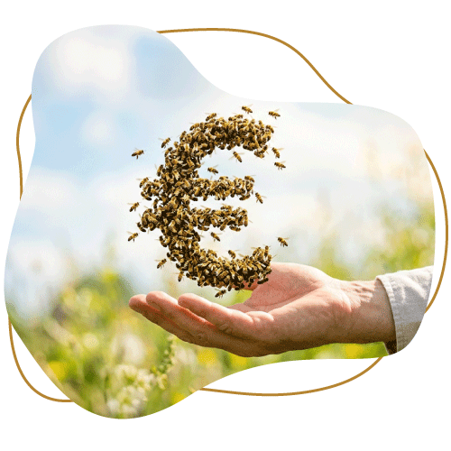 Euro symbol made of flying bees above a hand