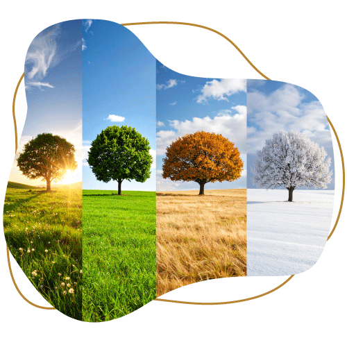 Splash-shaped cut-out depicting the four seasons side by side