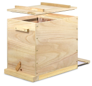 Golz Ablegerkasten II, Kantenansicht, Deckel schwebend