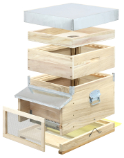 Special Offers 10 Wooden Wooden Hives Dadant Blatt