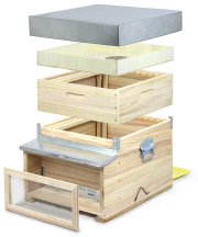 Fundgruben 12er Holzbeute Dadant Blatt