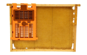 IzoVar Queen Brood-Stop Cage based on Dr. Olszewski