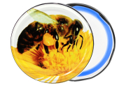 82er TO Biene Blueseal®, Frontansicht