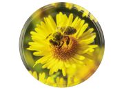 82er TO Deckel ApiSina® Biene auf Blüte gelb, Frontansicht