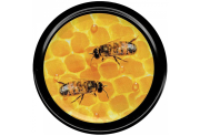 82er TO Deckel ApiSina® Bienen auf Wabe II, Frontansicht