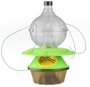 Yasaeng Korean Velutina trap