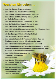 Lehrtafel - Wussten Sie schon ..., Frontansicht