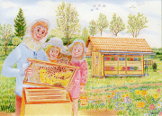 Postkarte 