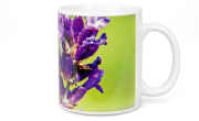 ApiSina® Tasse "Biene auf lila Blume"