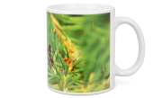 ApiSina® Tasse "Biene mit Tanne"