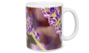 ApiSina® Tasse "Biene mit Lavendel"