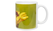 ApiSina® Tasse "Biene mit kleiner gelber Blume"