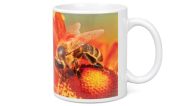 ApiSina® Tasse "I love Honey"