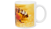 ApiSina® Tasse "Biene"