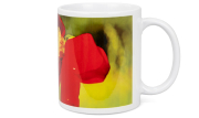 ApiSina® Tasse "Biene mit gelb-roter Blume"