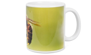 ApiSina® Tasse "Biene mit weißer Blume"