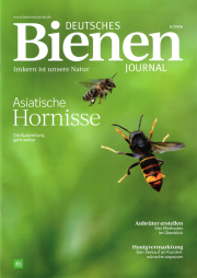 Bienen Journal 6/2026: Asiatische Hornisse, Cover