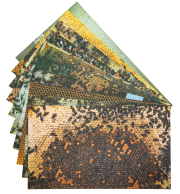 Special Offers Virtual bee colony